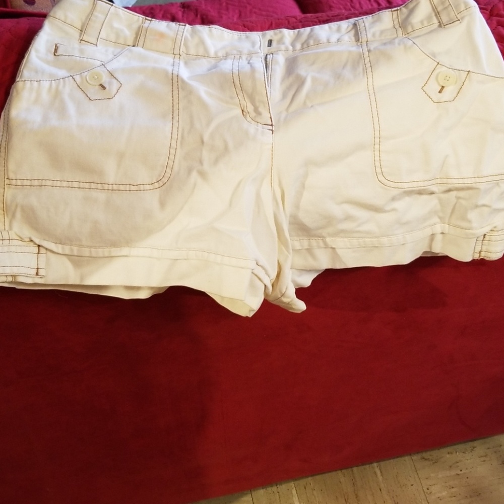 Ann Taylor Loft Shorts